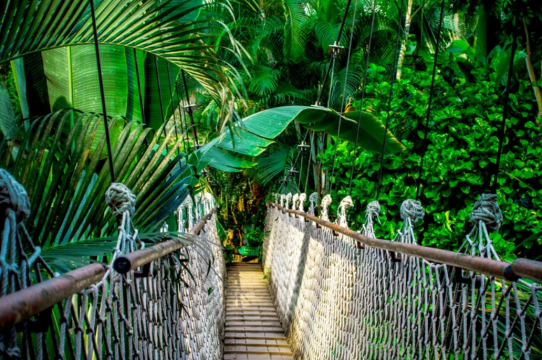 Amazon, Incas & Galapagos