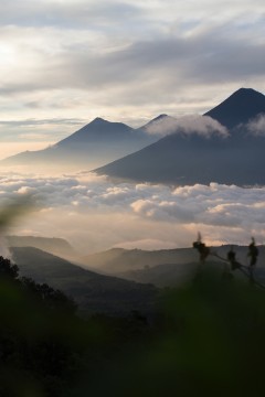 Central America & the Caribbean