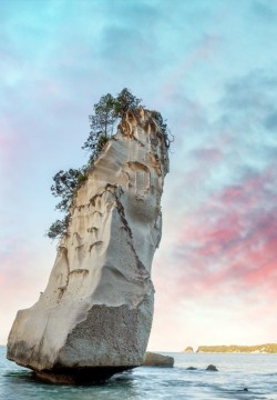 Coromandel