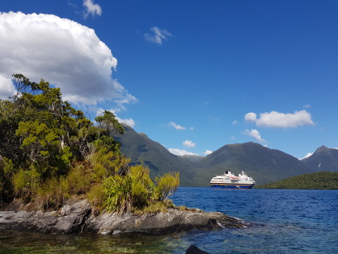 New Zealand Cruise