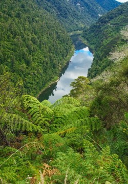 Manawatu-Wanganui