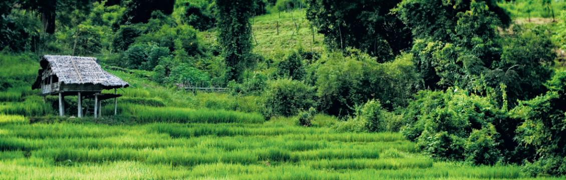 Beautiful Northern Thailand