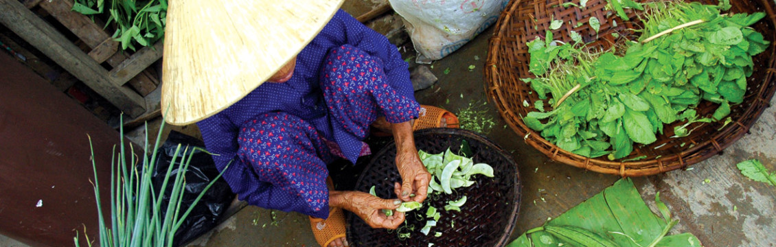 Vietnam & Cambodia Real Food Adventure