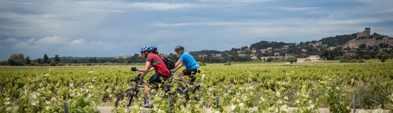 Cycle Provence