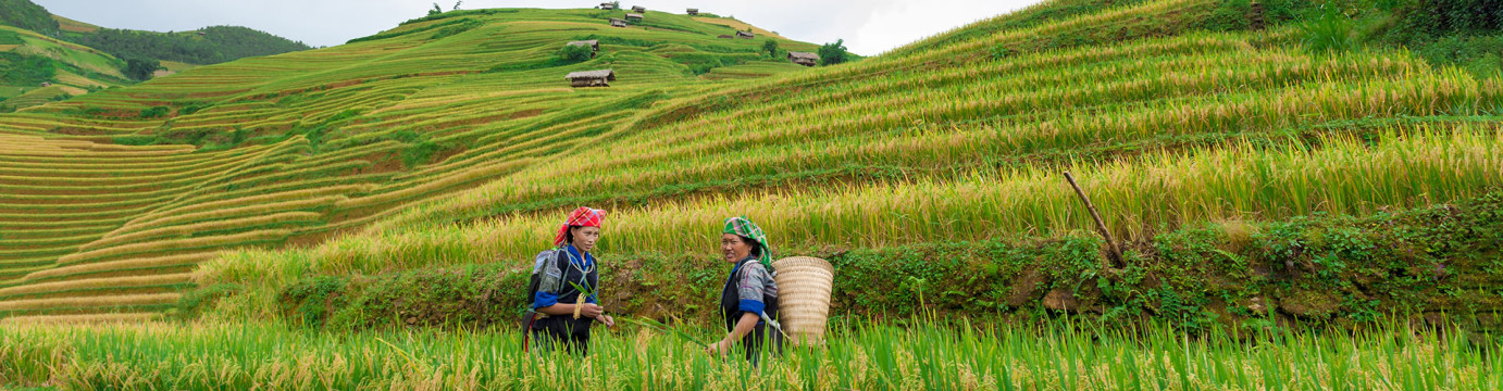 Sapa Adventure