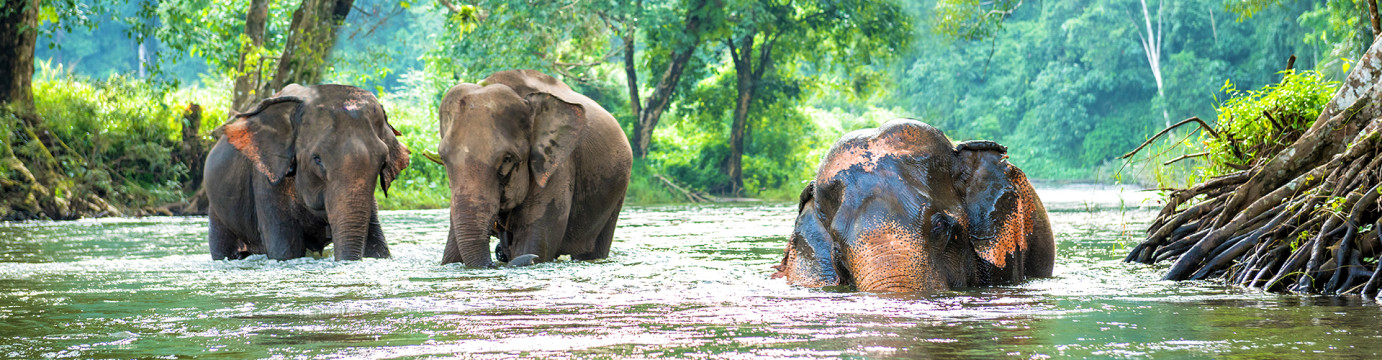 Explore Northern Thailand