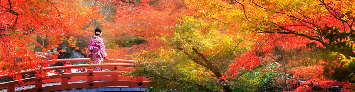 Ultimate Japan