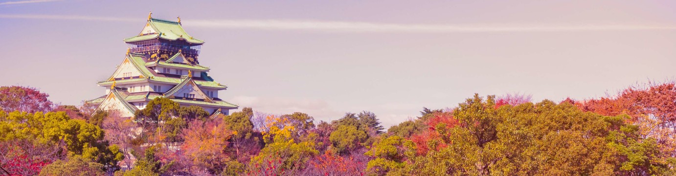 Southern Japan Experience