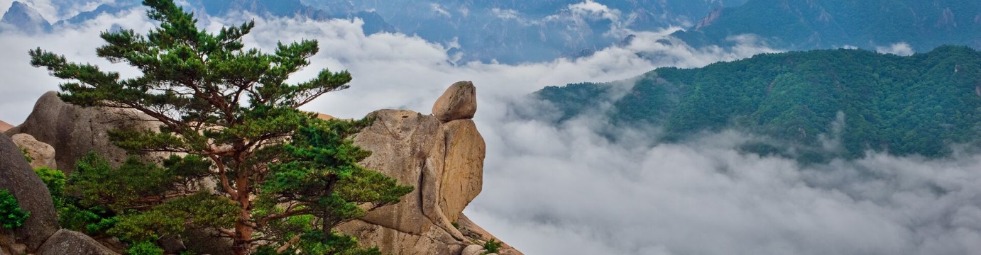 South Korea Highlights