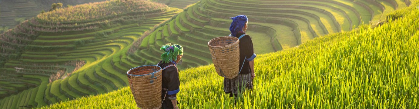 Thailand Hilltribe Trek
