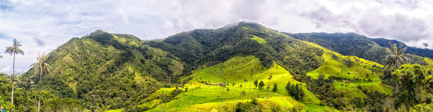 Premium Colombia			