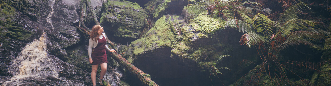 Walk Tasmania's Tarkine & Cradle Mountain