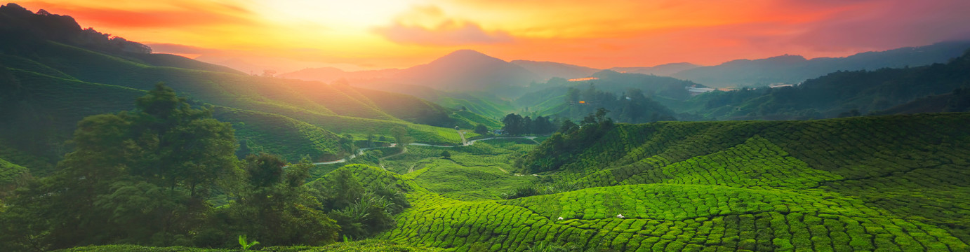Malaysia Highlights
