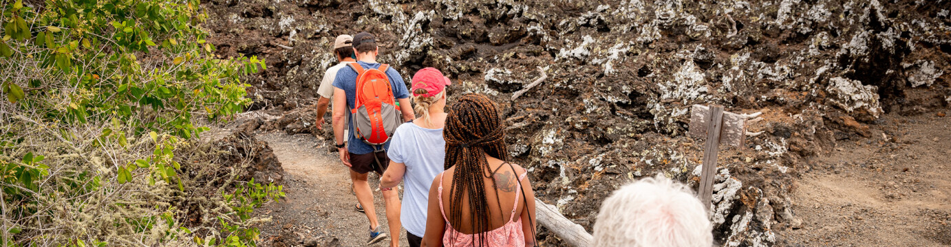 Best of Galapagos 