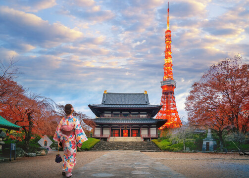 Asia: Osaka, Kochi, Jeju & Nagoya