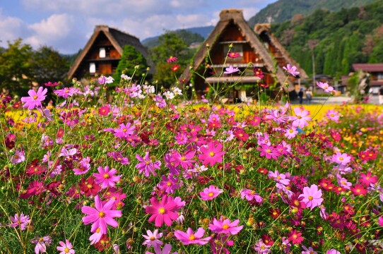 Ancient Kingdoms of Japan and South Korea  