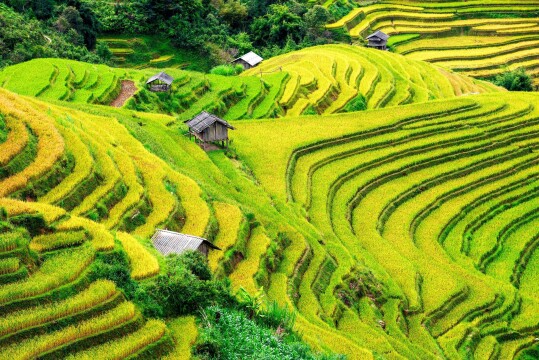 Vietnam and Cambodia Grand Tour