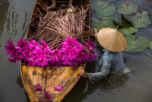 Vietnam and Cambodia Highlights