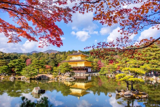 Japanese Culture, Art & Gardens in Autumn Splendour
