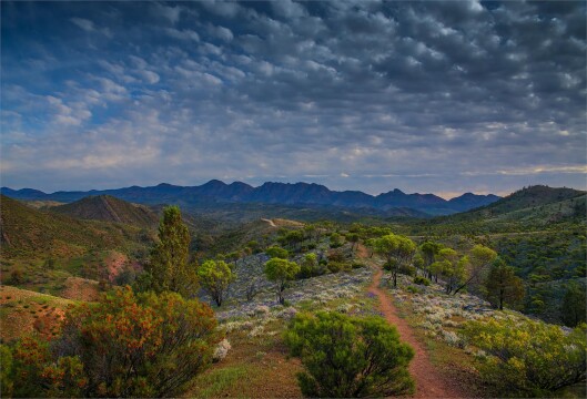 Australian Art & Outback Landscapes of the Flinders Ranges 