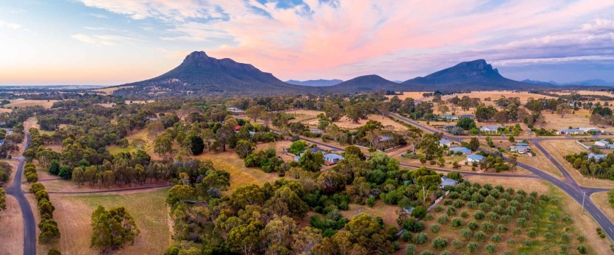 Grampians Wildflower Discovery Walking Trip