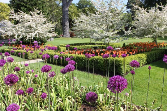 Iconic Gardens of England & Wales in Spring, with Chelsea Flower Show