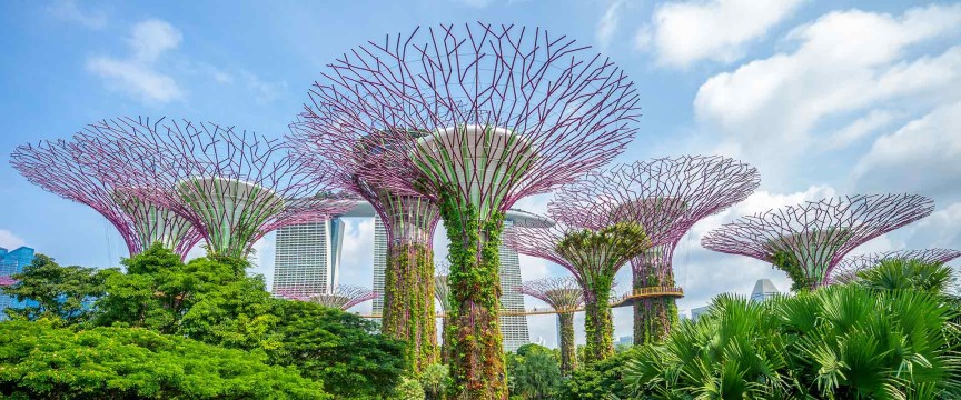 Singapore - A City Within A Garden