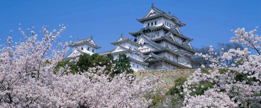 Blossoms, Towers & Temples