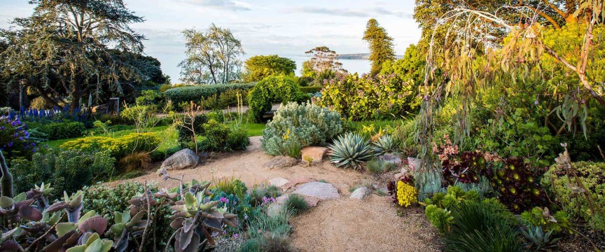 Gardens of Melbourne and the Melbourne International Flower & Garden Show