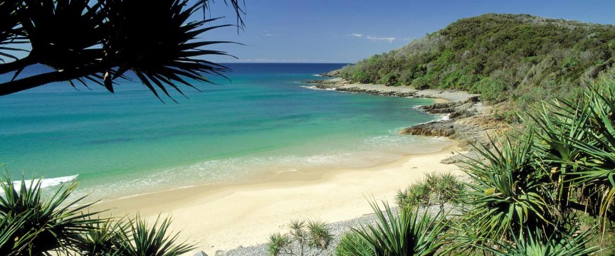 Coastal Queensland and Hinterland Delights