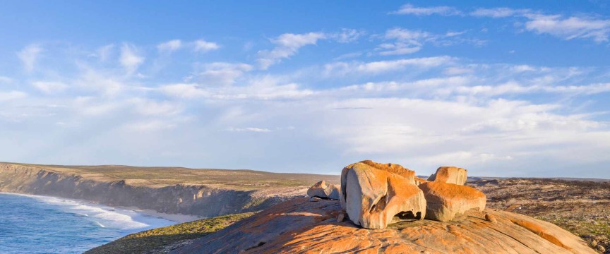 Kangaroo Island Discovery