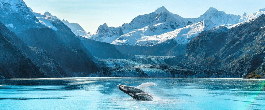 Alaska by Sea and Land