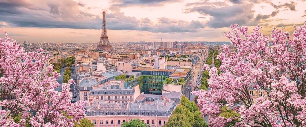 hc a eu france paris city eiffel tower through blossoms 433284401 adobe web 12 5