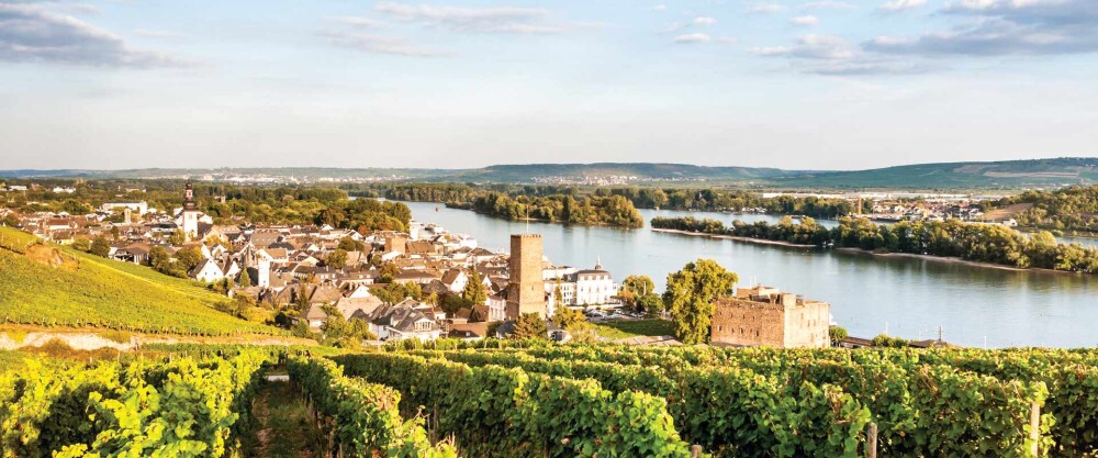 hc a eu germany rudesheim vineyard town 21638132 i 12 5
