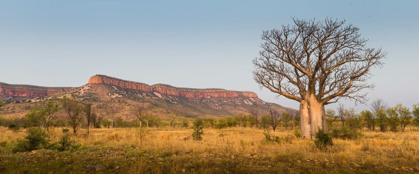 Kimberley Adventure by 4WD