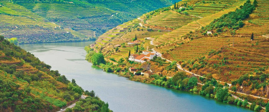 Country Roads of Portugal