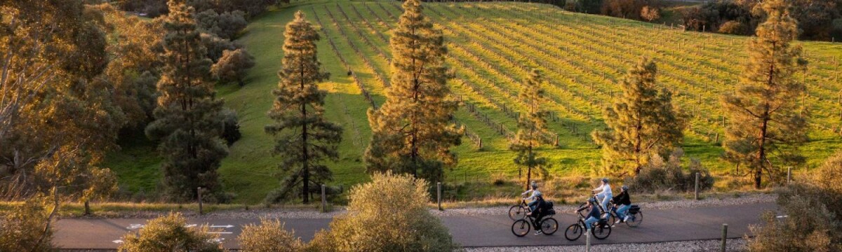 Follow Your Tastebuds to the Barossa