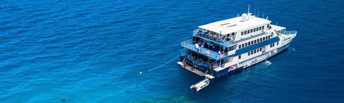 Beyond the Day Trip: OceanQuest Overnight