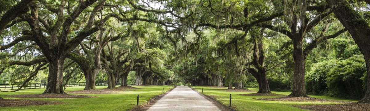 Musical Roots of the South Self Drive Itinerary