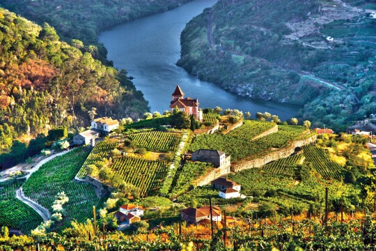 Douro Discovery