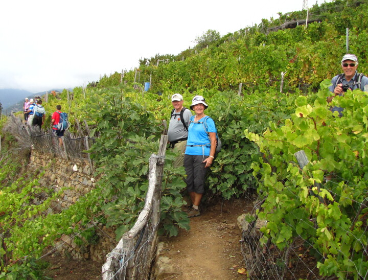 Cinque terre walks