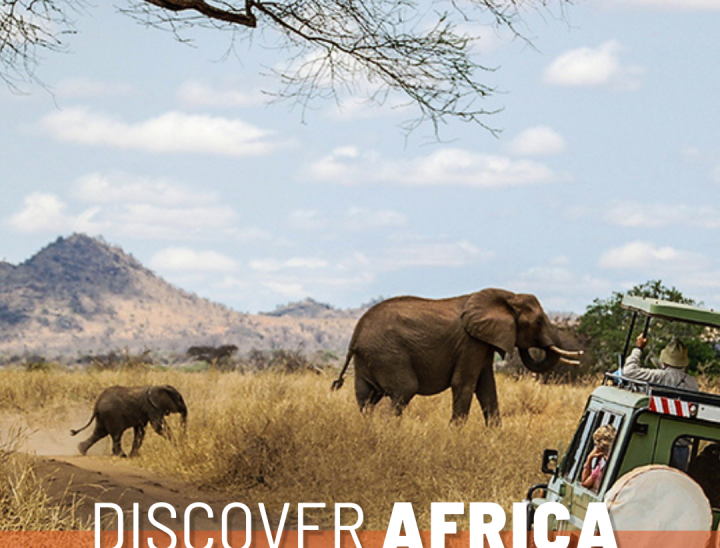 Discover Africa 5 elephants