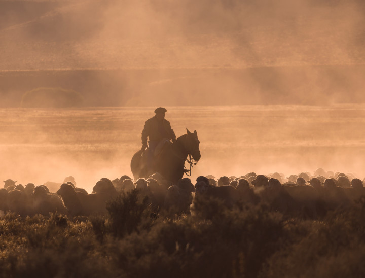 Gaucho Patagonia