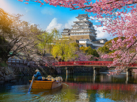 Taiwan, South Korea & Japan's Spring Flowers 