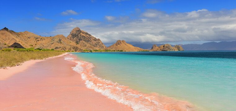 Kiwi & Coral Seascapes