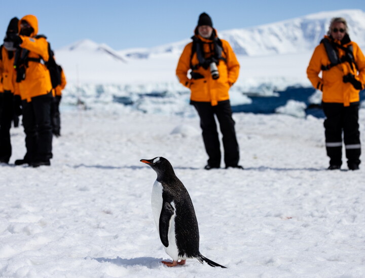 Seabourn Brown Bluff 2023 12 01 0079