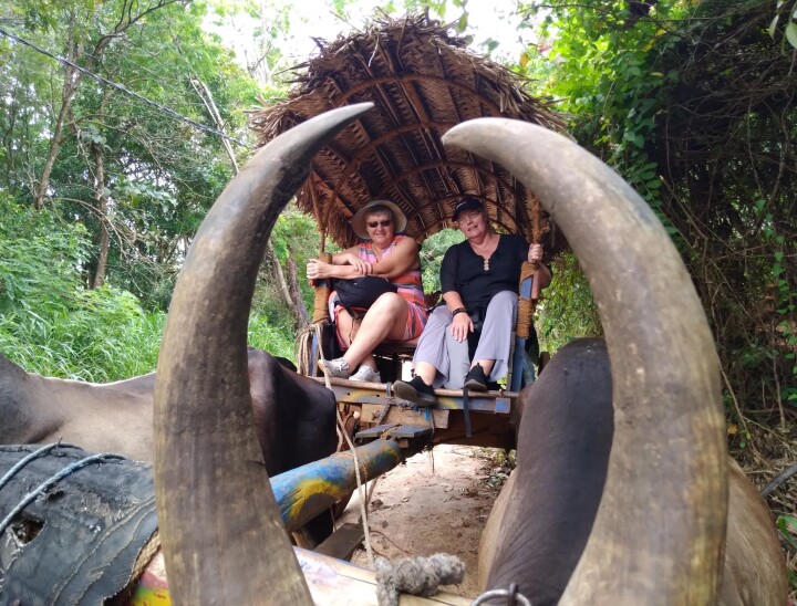 Sharon Bullock Cart