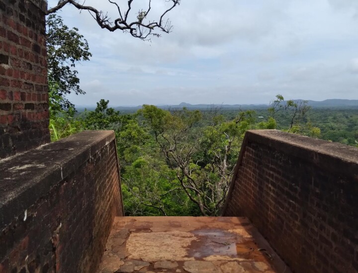 Sharon View from Sigiriya Rock Fortress