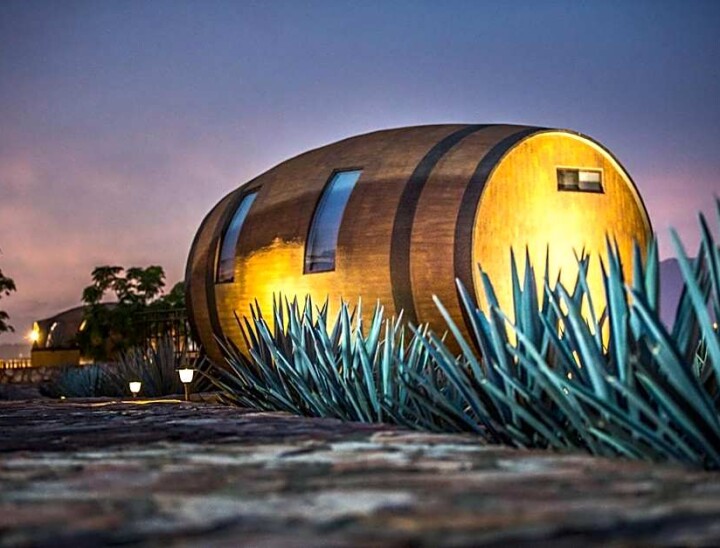 Tequila Barrel room
